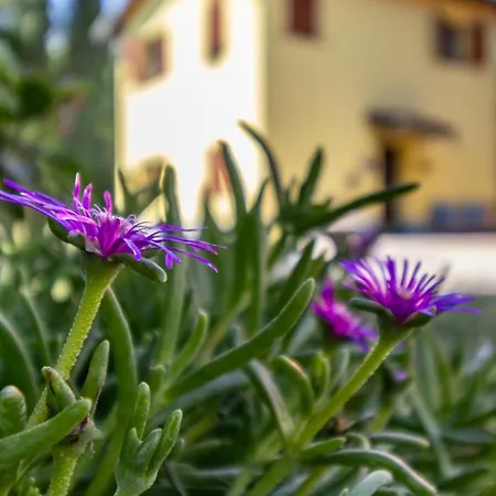 3t - Affitti Brevi Italia 3* Modena